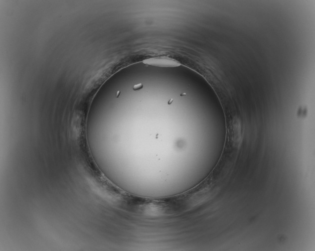 X0000111230412200907091340