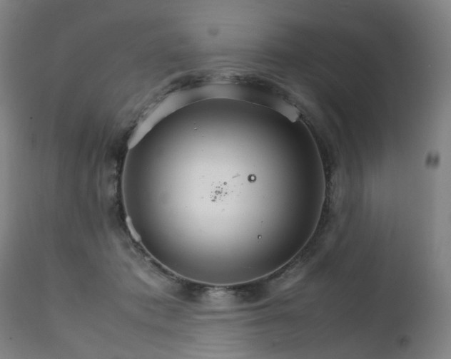 X0000111230413200907091340