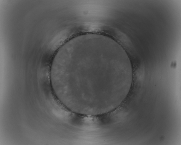 X0000111230415200907091340
