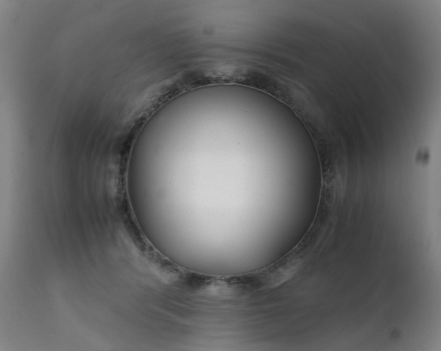 X0000111230416200907091340