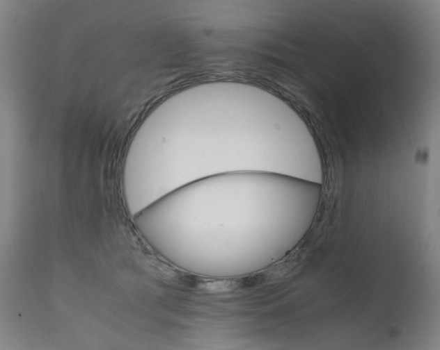 X0000111230417200907091340