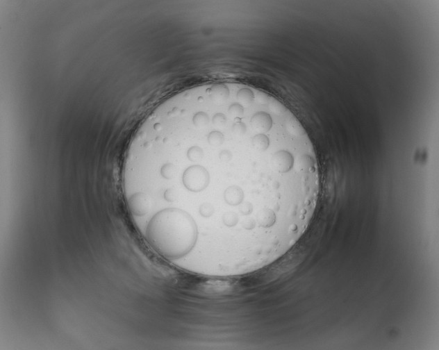 X0000111230418200907091340