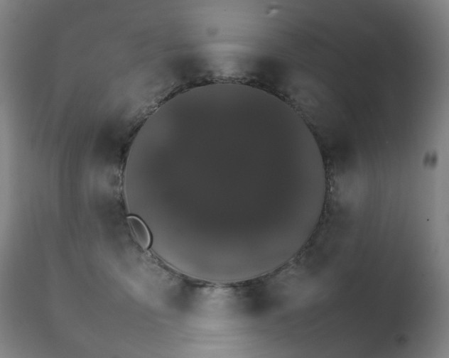 X0000111230419200907091340