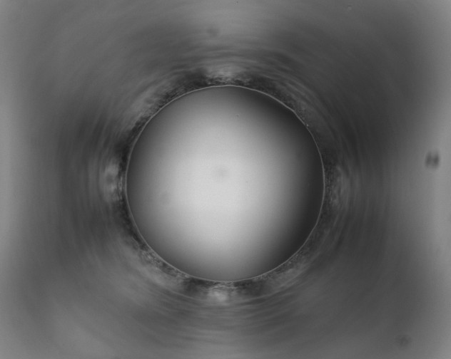 X0000111230420200907091340
