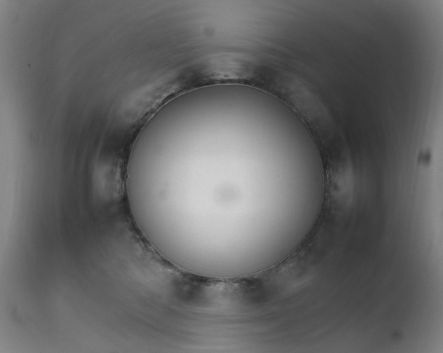 X0000111230422200907091340