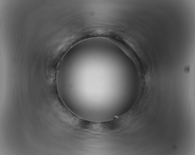 X0000111230423200907091340