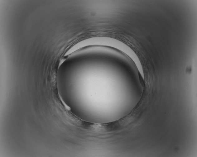 X0000111230425200907091340