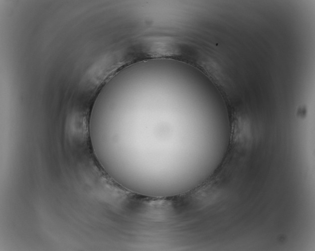 X0000111230426200907091340