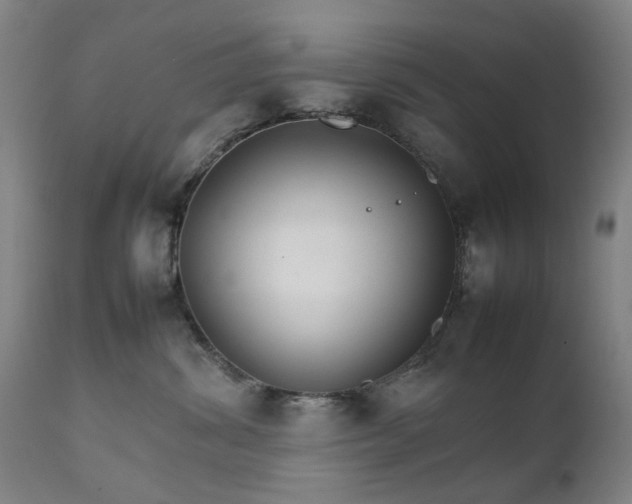 X0000111230428200907091340