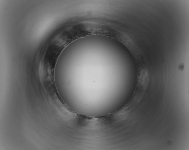 X0000111230430200907091340