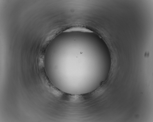 X0000111230432200907091340