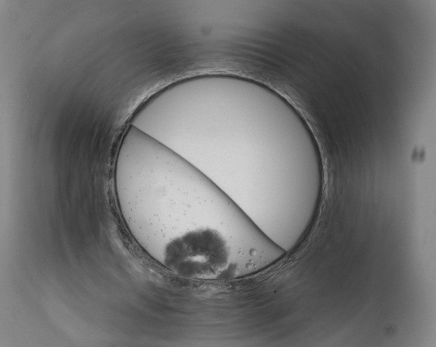 X0000111230434200907091339