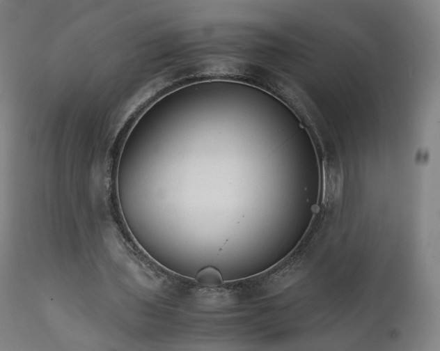 X0000111230435200907091339