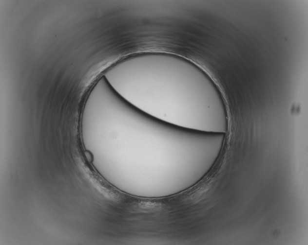 X0000111230437200907091339