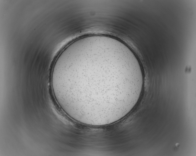 X0000111230438200907091339