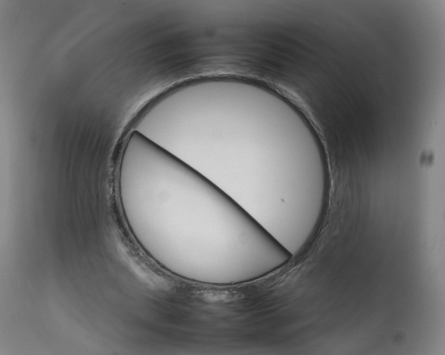 X0000111230439200907091339