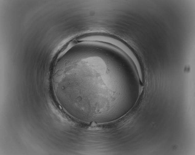 X0000111230440200907091339
