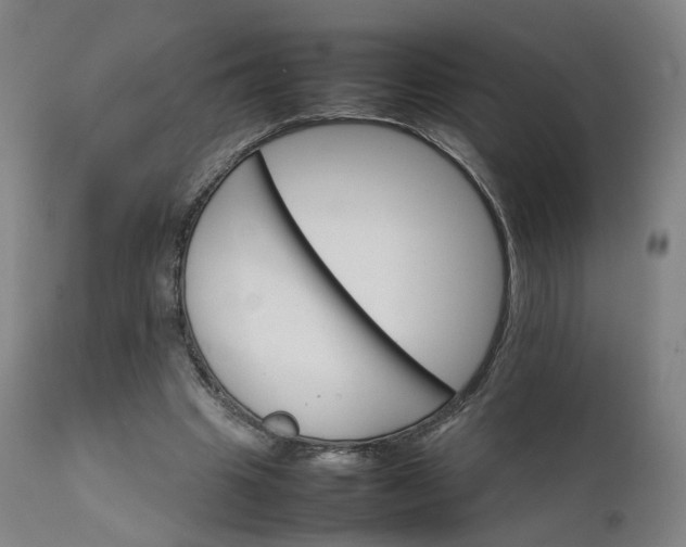 X0000111230441200907091339