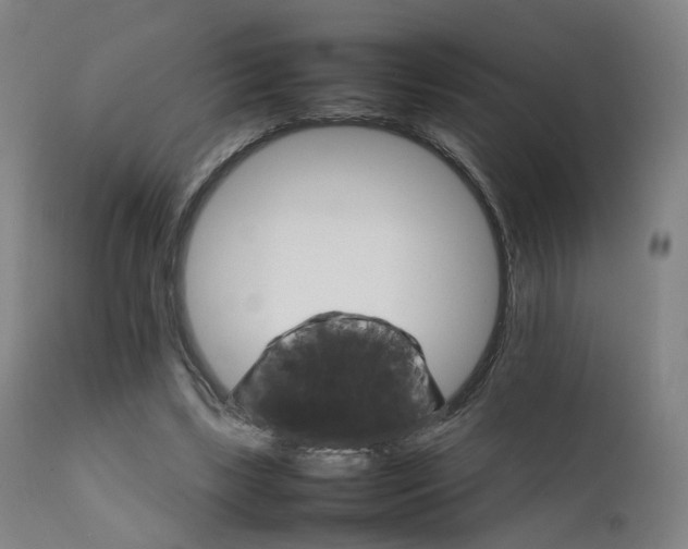 X0000111230443200907091339