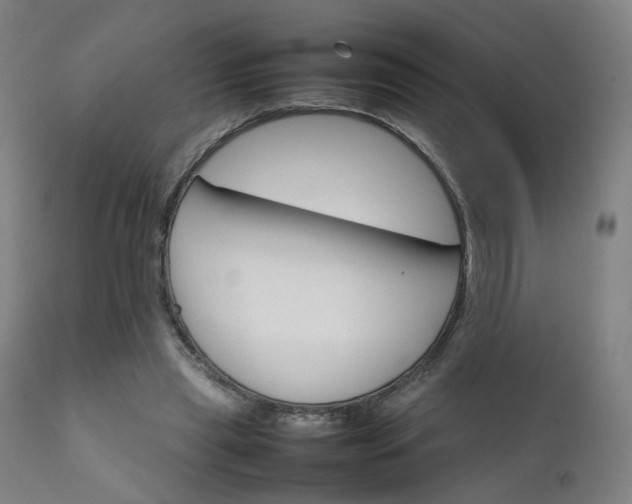 X0000111230445200907091339