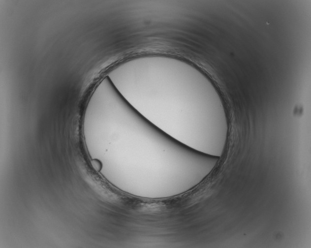 X0000111230446200907091339