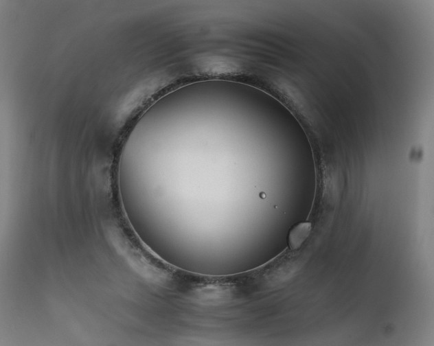 X0000111230447200907091339