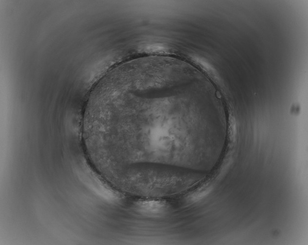 X0000111230449200907091339
