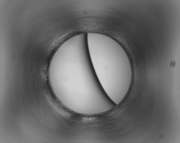 X0000111230450200907091339