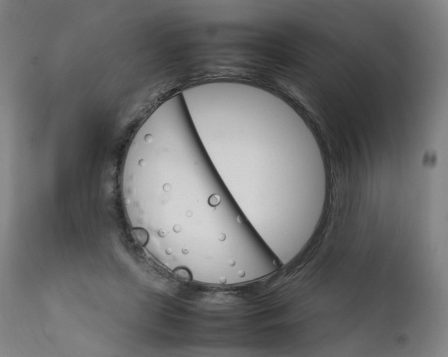 X0000111230451200907091339