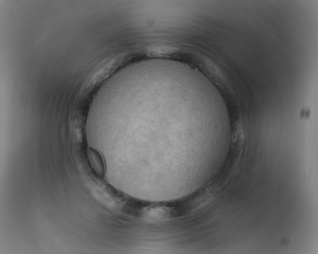 X0000111230452200907091339