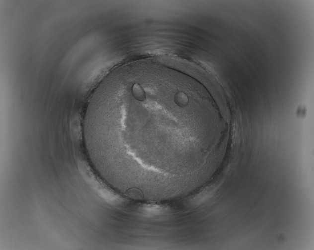 X0000111230453200907091339