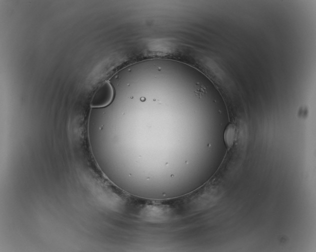 X0000111230455200907091339