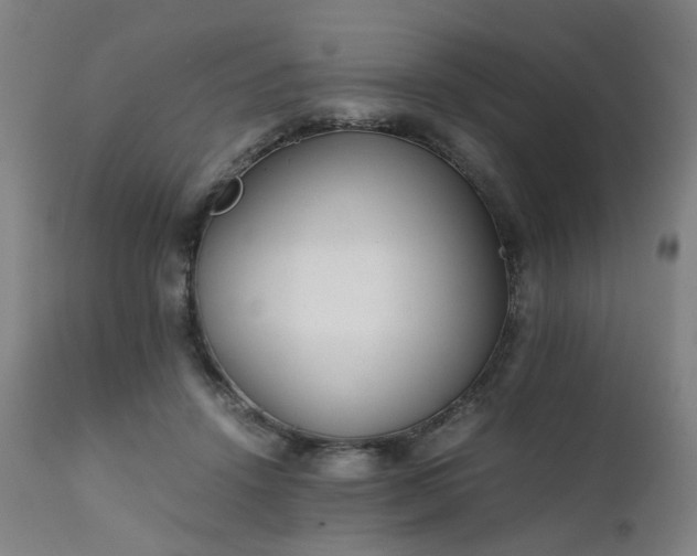 X0000111230456200907091339