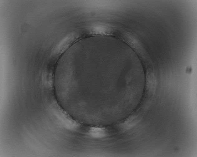 X0000111230457200907091339
