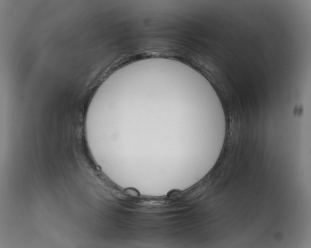 X0000111230461200907091339