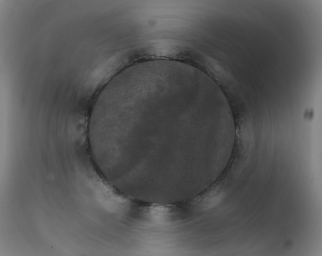 X0000111230462200907091339