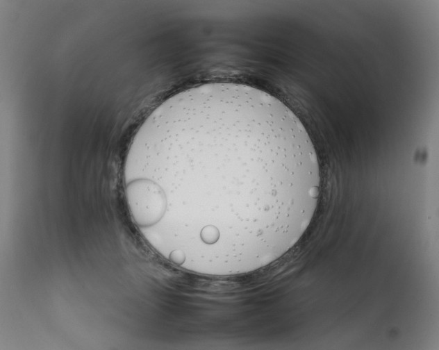 X0000111230463200907091339