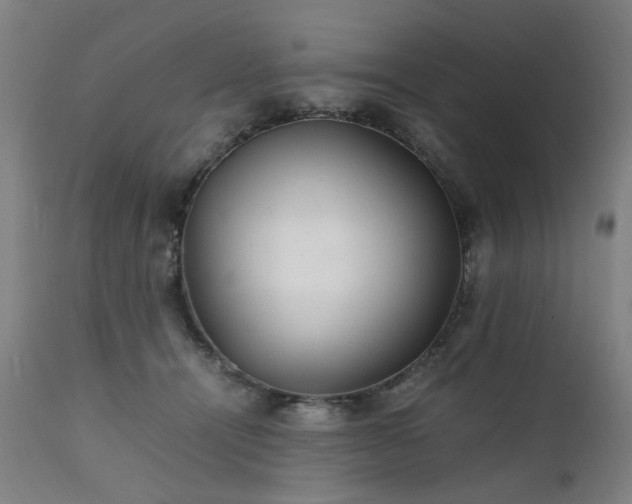 X0000111230464200907091339