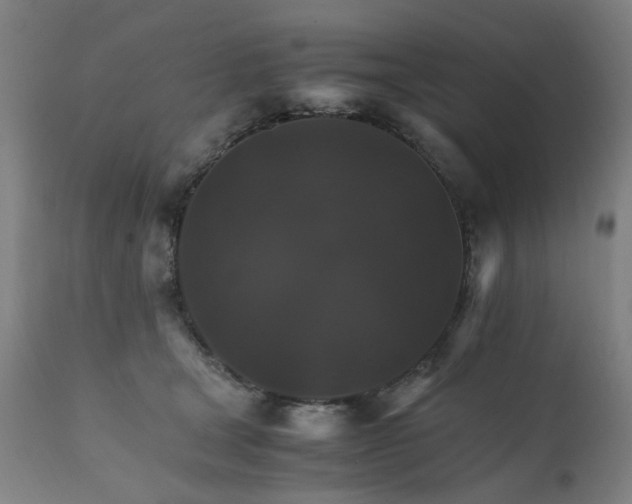 X0000111230465200907091339