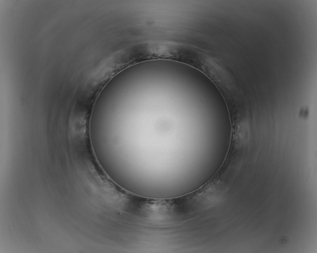 X0000111230466200907091339
