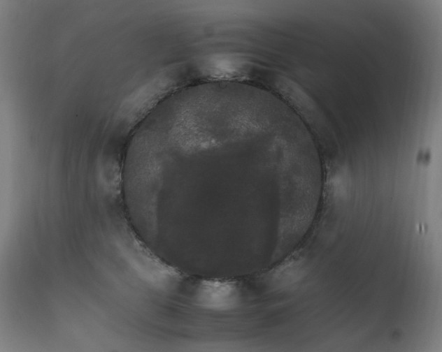 X0000111230469200907091339