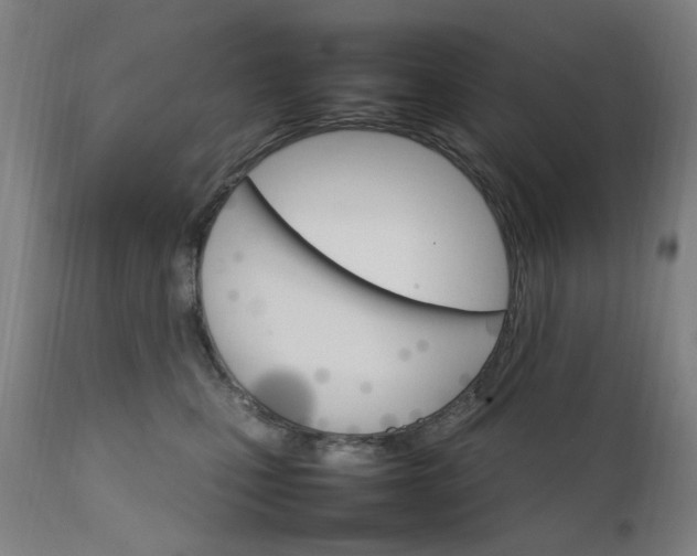 X0000111230471200907091340