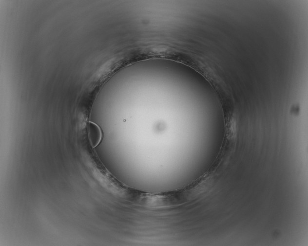 X0000111230472200907091340