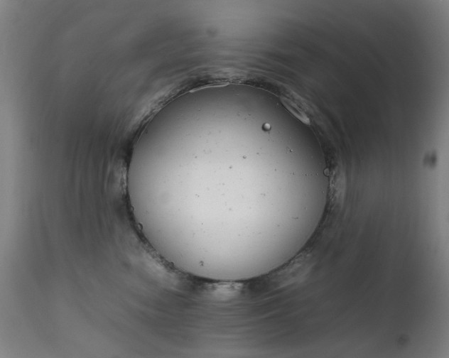 X0000111230474200907091340