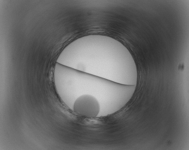 X0000111230475200907091340