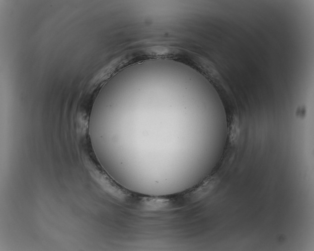 X0000111230476200907091340