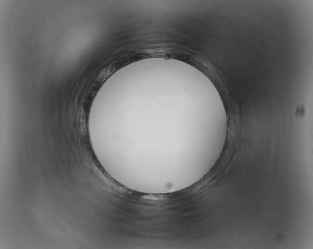 X0000111230477200907091340