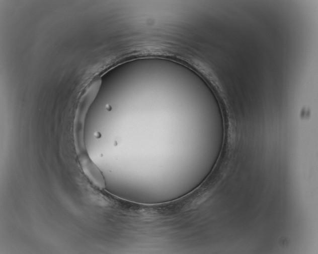 X0000111230481200907091339