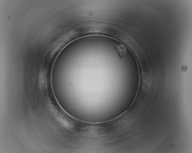 X0000111230482200907091339