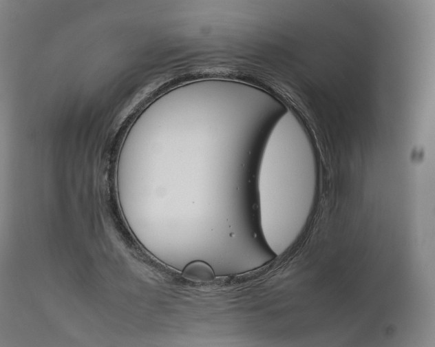 X0000111230483200907091339